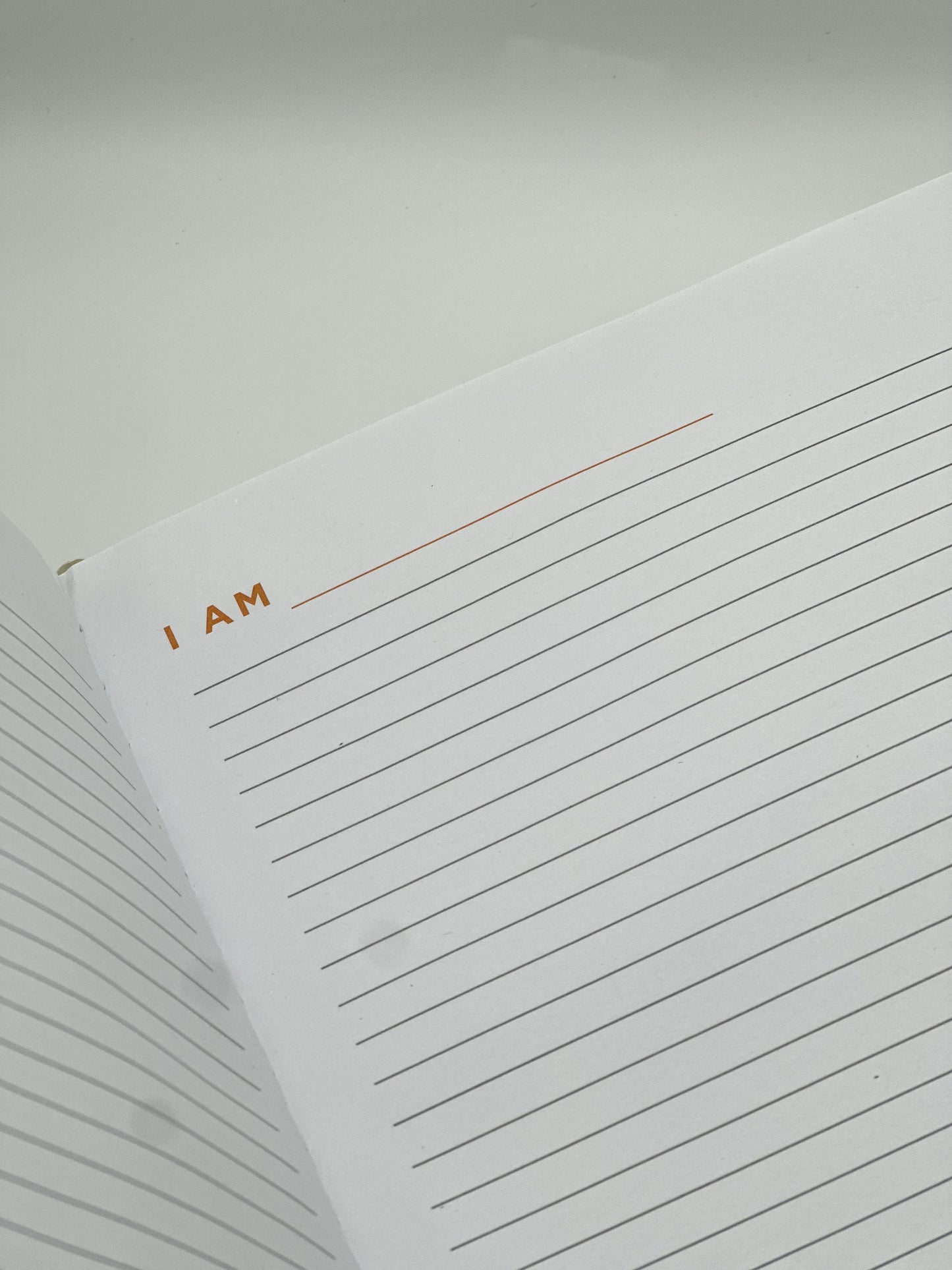 
                  
                    The I AM Journal
                  
                